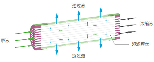 云顶集团·(中国区)最新官方网站
